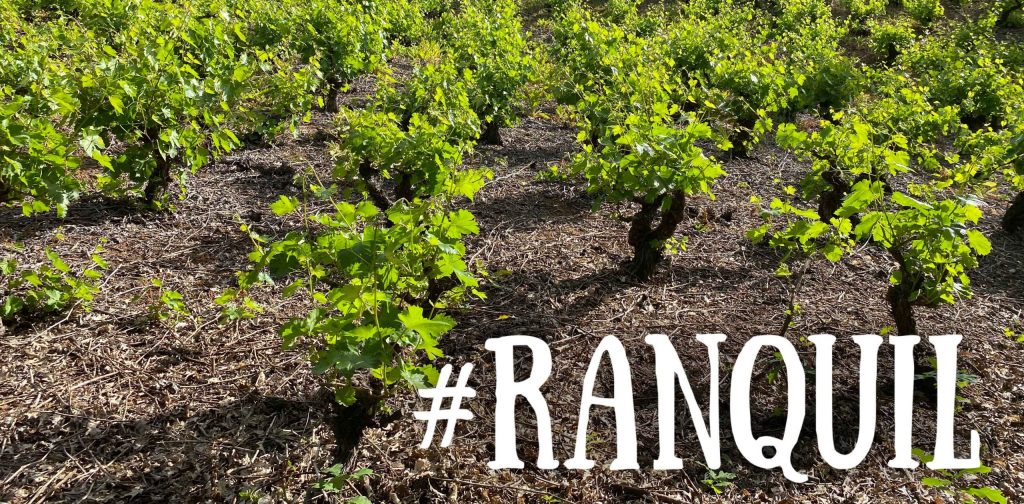 Ranquil: Esculpiendo Vinos