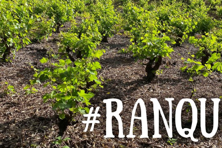 Ranquil: Esculpiendo Vinos