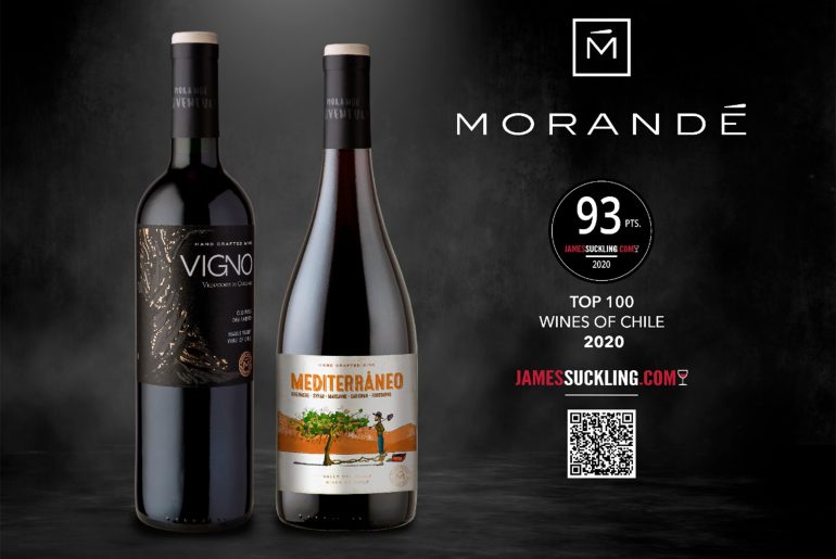 James Suckling incluye dos notables vinos de Viña Morandé en su reciente informe de los Top 100 vinos chilenos