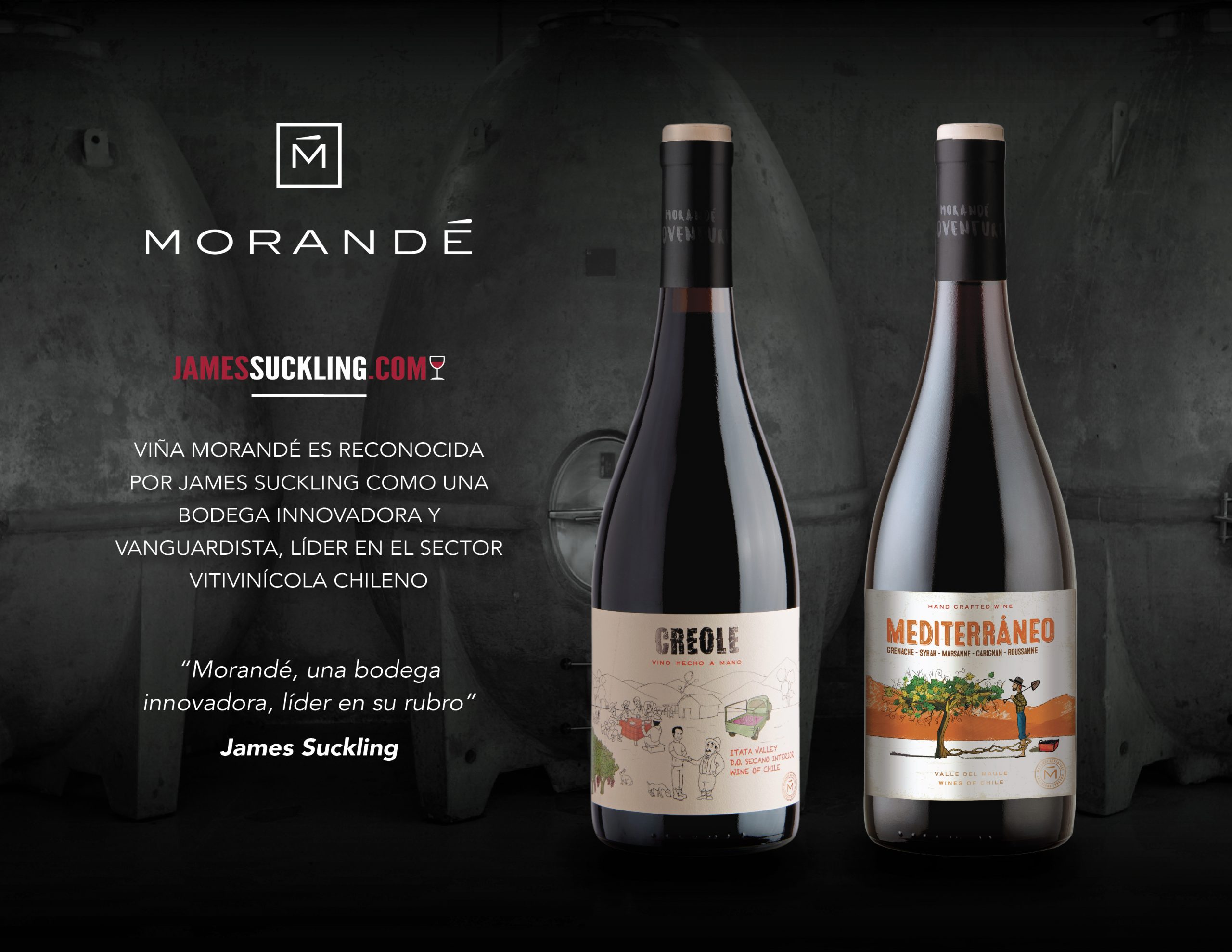 Viña Morandé es reconocida por James Suckling como una bodega innovadora y vanguardista, líder en el sector vitivinícola chileno
