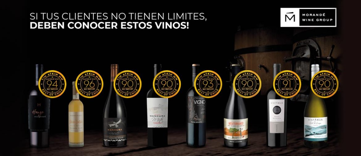 Tim Atkin otorga excelentes puntajes a los vinos de Morandé Wine Group