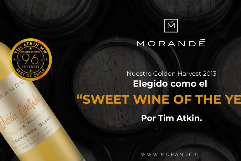 En su Reporte Especial Chile 2021, Tim Atkin distingue a nuestro Golden Harvest 2013 como “Sweet Wine of the Year”