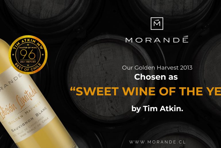 In his Special Report Chile 2021, Tim Atkin awarded our Golden Harvest 2013 as “Sweet Wine of the Year”