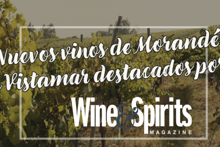 Wine & Spirits otorga excelentes puntajes a los vinos de Morande Wine Group