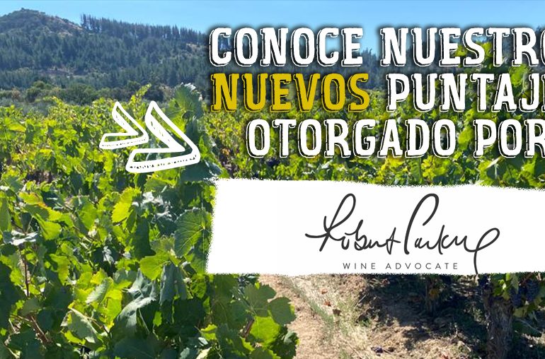 Vinos de la línea Gran Reserva de Viña Morandé reconocidos con estupendos puntajes por su tremenda consistencia